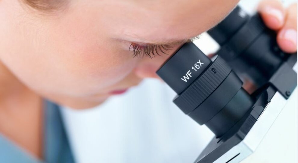 bio